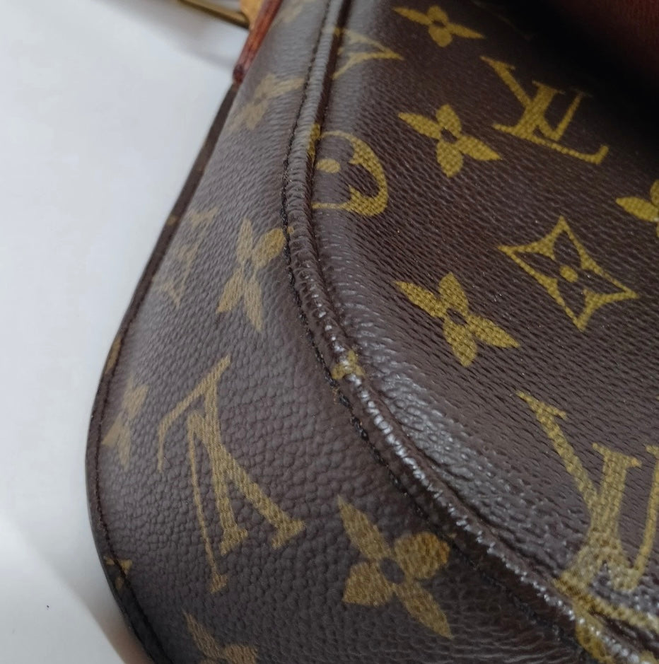 Boujee Louis Crossbody