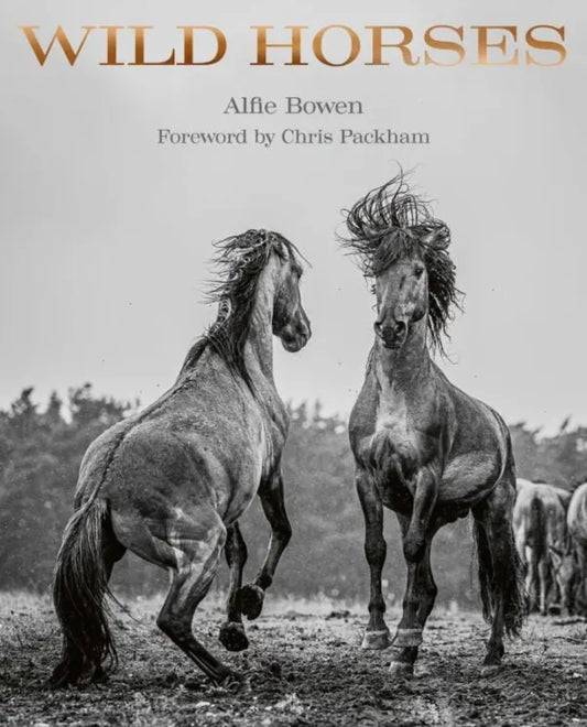 Wild Horses Book