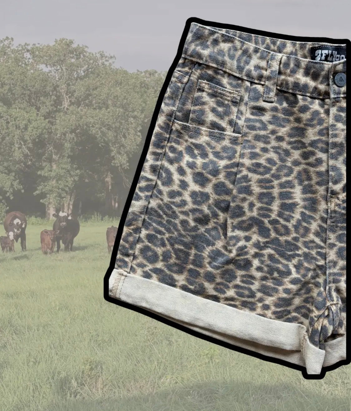 Leopard Denim Shorts