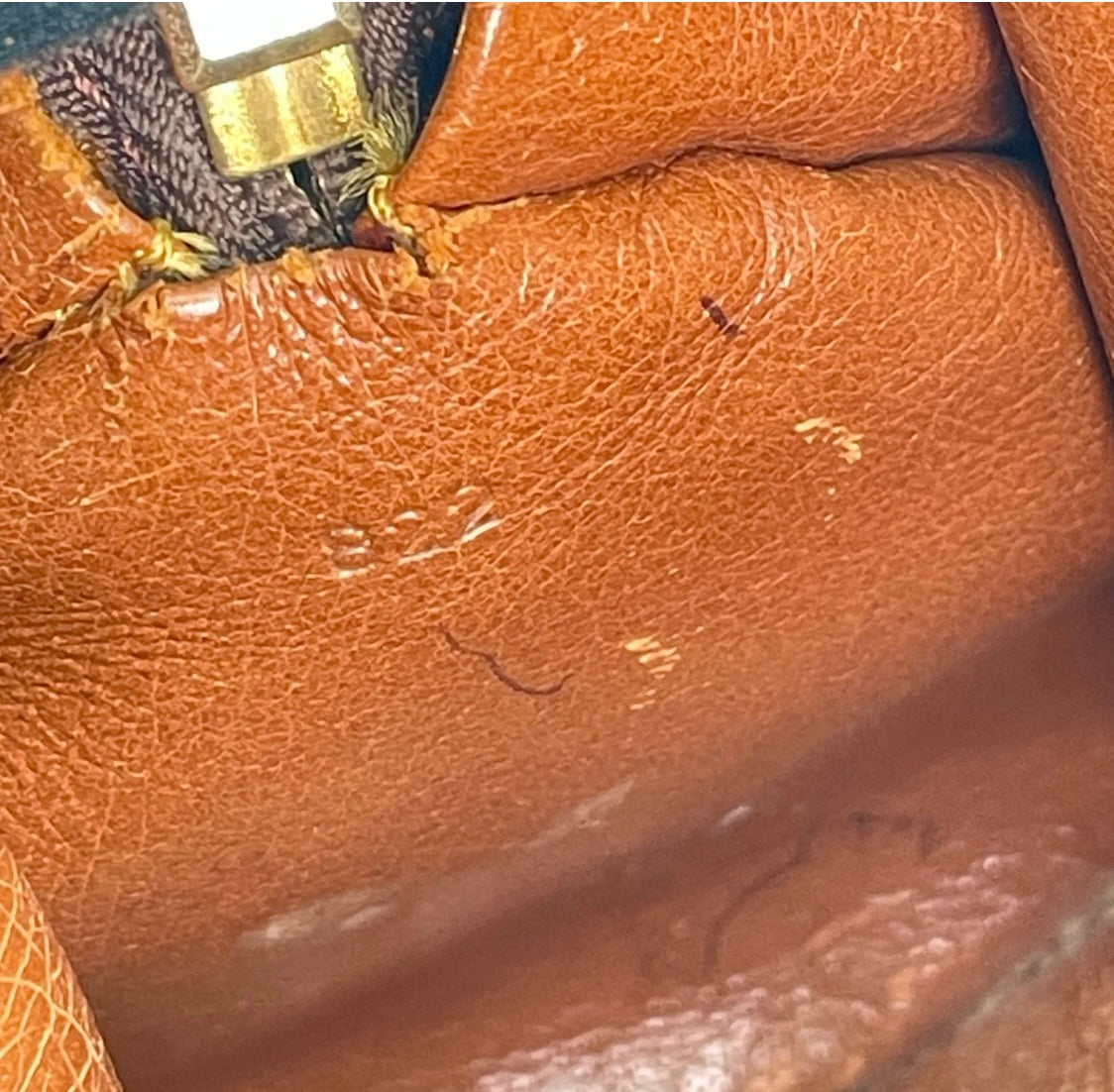 Authentic Vintage Louis Vuitton Papillon Bag