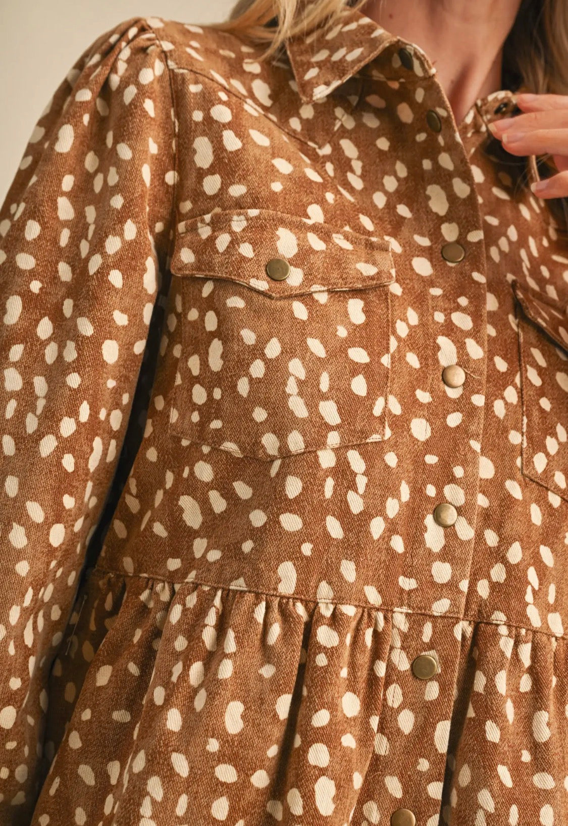 Fawn Denim Button Up Dress