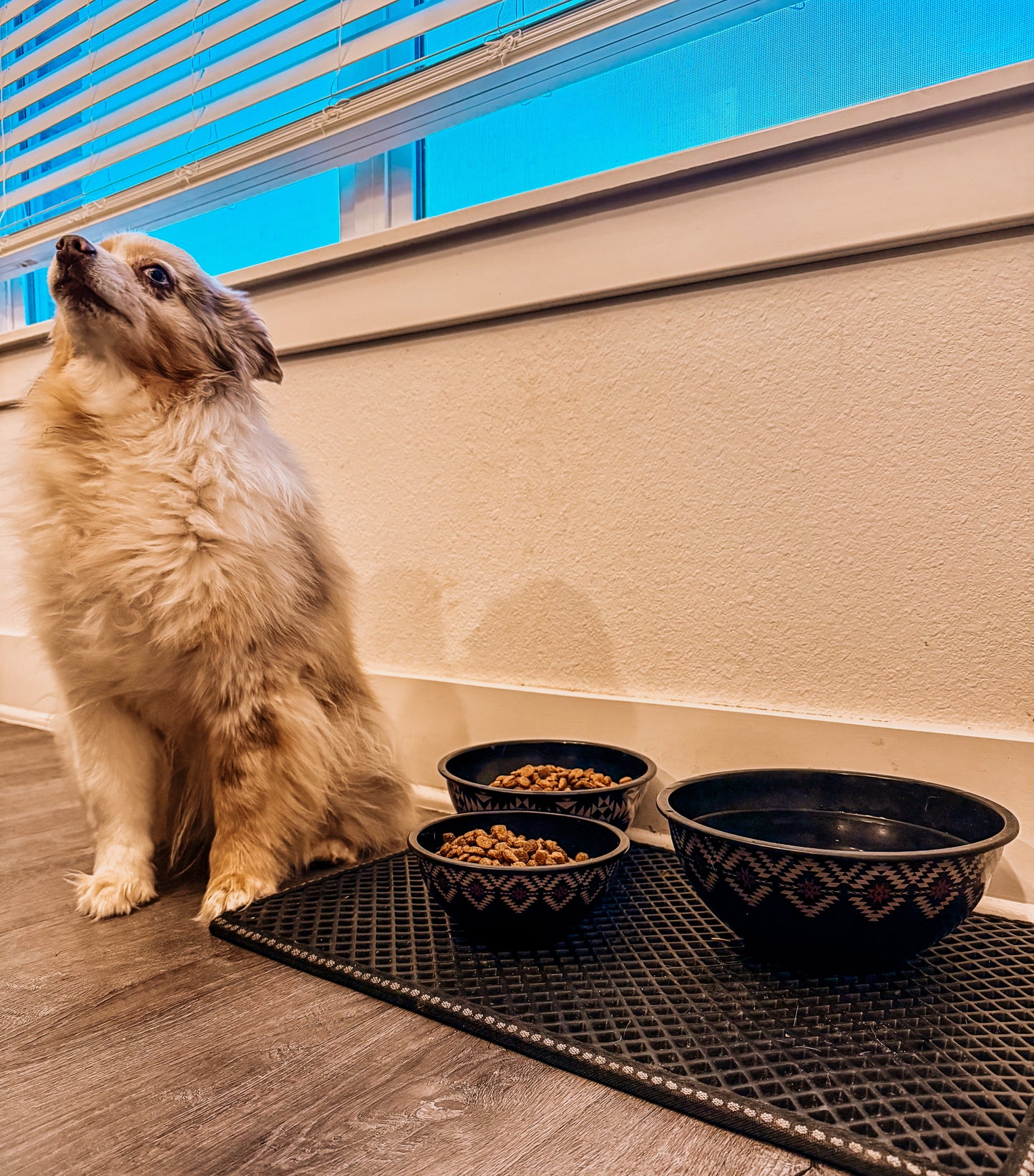 Western Tupperware ￼